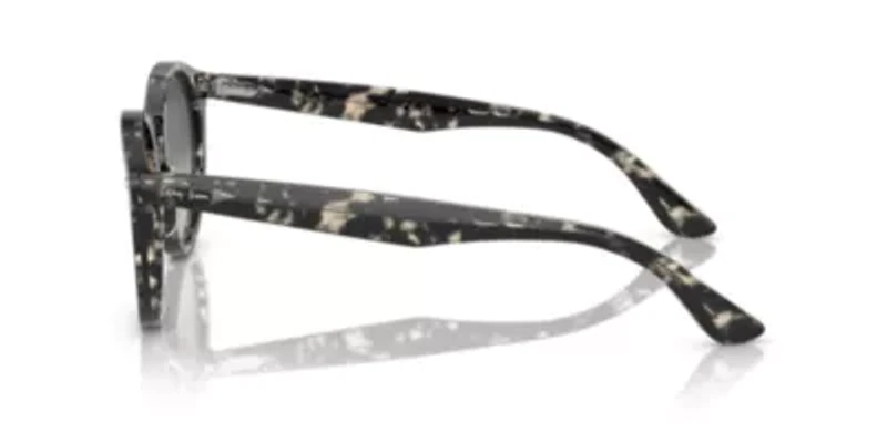 RB7680S Larry Sunglasses