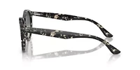 RB7680S Larry Sunglasses