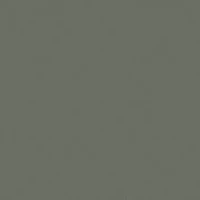 PR 20YS Polarized Sunglasses