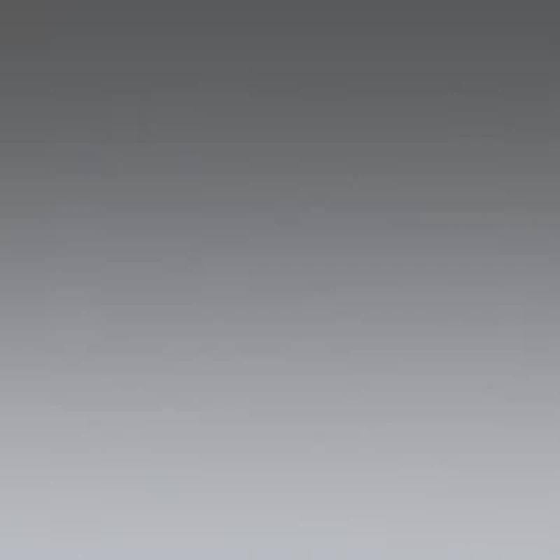 PS 55WS Polarized Sunglasses