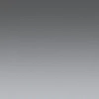 PS 55WS Polarized Sunglasses