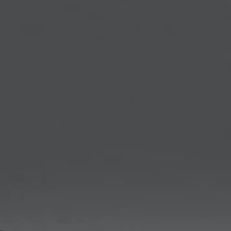 PS 54WS Polarized Sunglasses