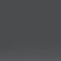 PS 54WS Polarized Sunglasses