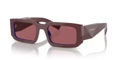 TF4208U Steve Mcqueen Sunglasses