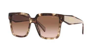 PR 24ZS Sunglasses