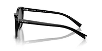 PR 22ZS Polarized Sunglasses