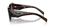 PR 14ZS  Sunglasses