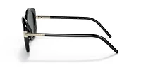 PR 04WS  Polarized Sunglasses