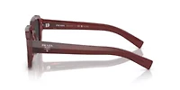 PR 02ZS Polarized Sunglasses