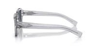 PR 02ZS Sunglasses