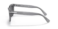 PR 04YS Polarized Sunglasses