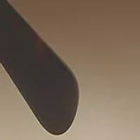 PR 08OS CONCEPTUAL Sunglasses