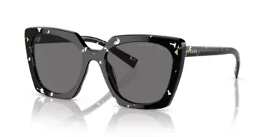 PR 23ZS  Polarized Sunglasses
