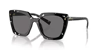 PR 23ZS  Polarized Sunglasses