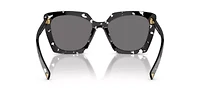 PR 23ZS  Polarized Sunglasses