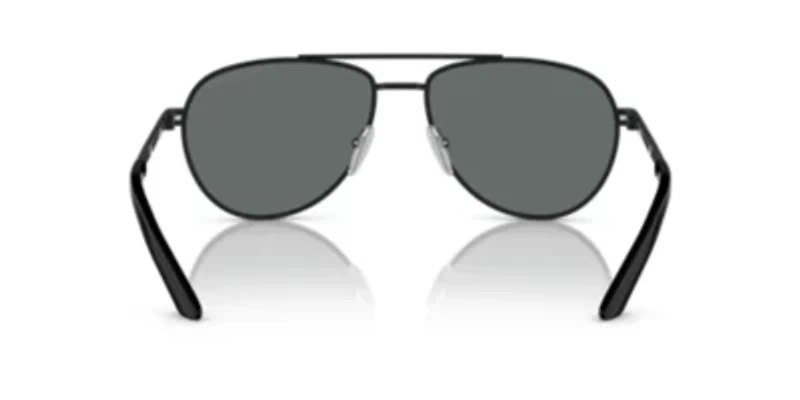 PR A54S Polarized Sunglasses