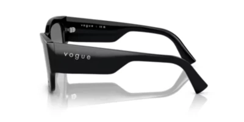 PS 01TS Lifestyle Sunglasses