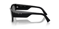 PS 01TS Lifestyle Sunglasses