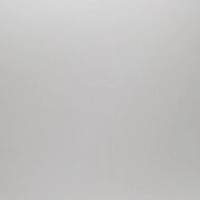 PS 01TS Lifestyle Sunglasses