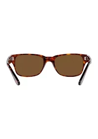 PO3288S  Polarized Sunglasses