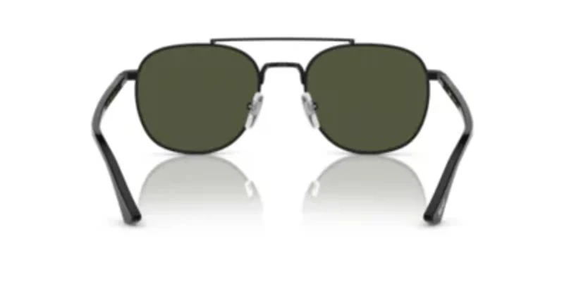 PO1006S Polarized Sunglasses