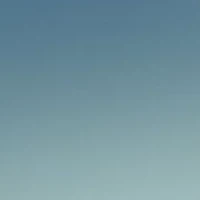 PO3108S Polarized Sunglasses