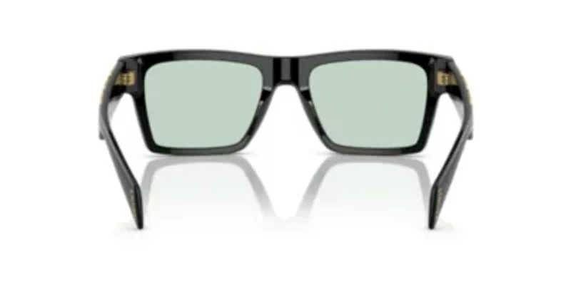 VE4445 Sunglasses