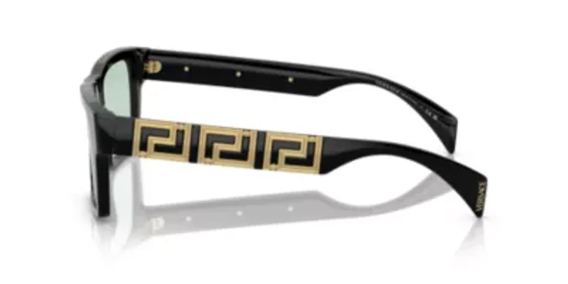 VE4445 Sunglasses