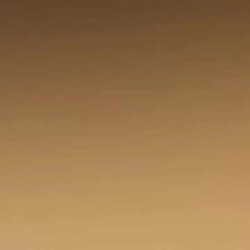 MJ000394 NALANI Polarized Sunglasses