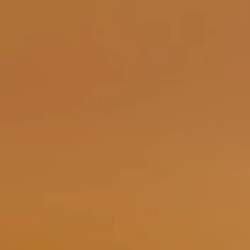 MJ000321 PEAHI Polarized Sunglasses