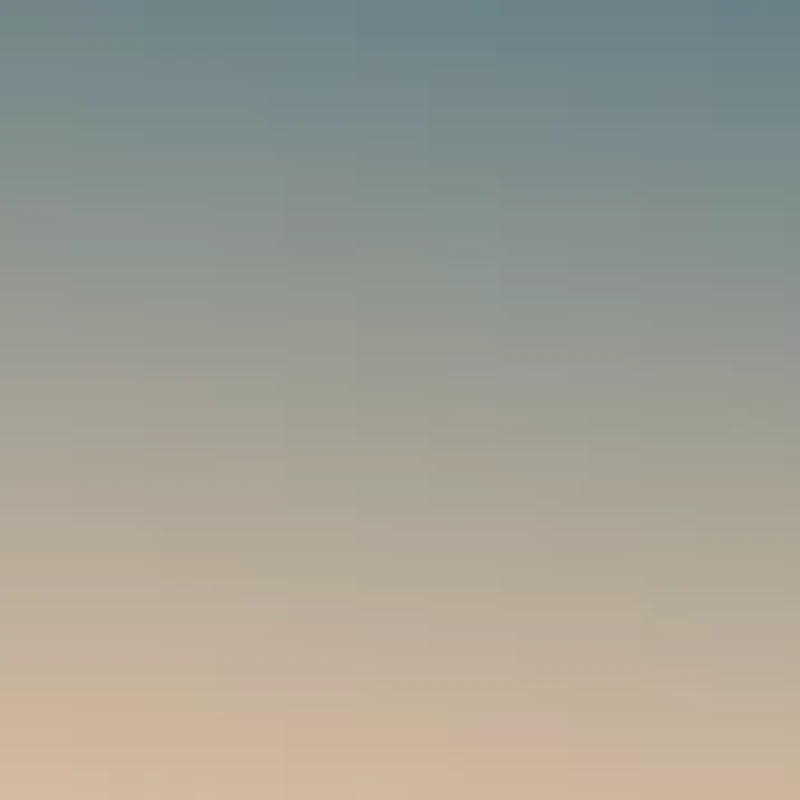 HC7133 C7997 Sunglasses