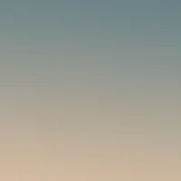 HC7133 C7997 Sunglasses