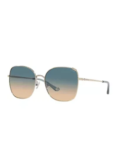 HC7133 C7997 Sunglasses