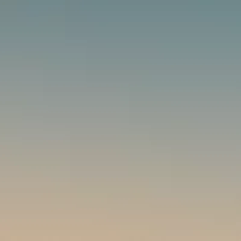 DG4443 Sunglasses