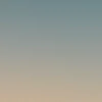 DG4443 Sunglasses