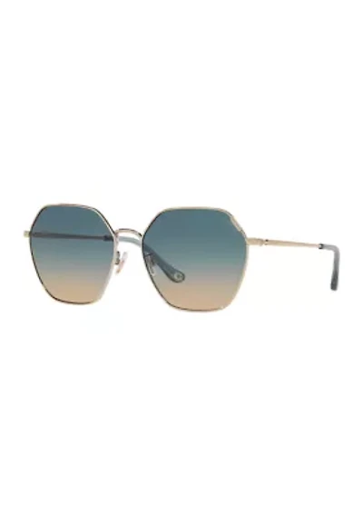 DG4443 Sunglasses