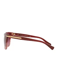 HC8132 L109 Sunglasses