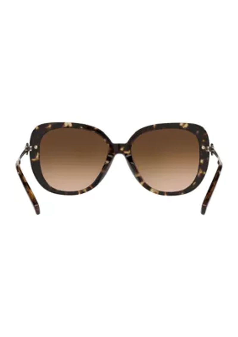 HC8320 C6180 Sunglasses