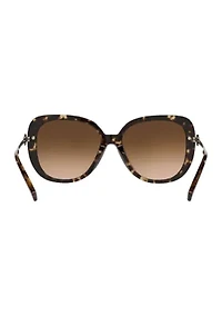 HC8320 C6180 Sunglasses