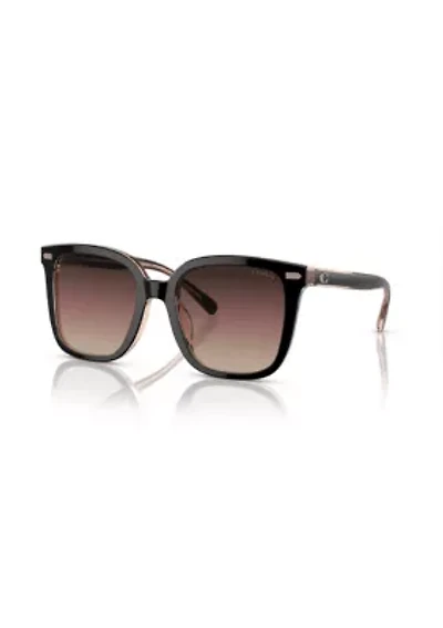 HC8381U CL918 Sunglasses