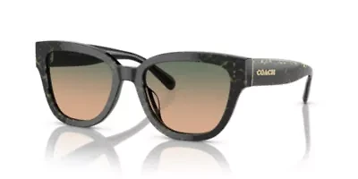 HC8379U CL920 Sunglasses
