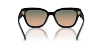 HC8379U CL920 Sunglasses