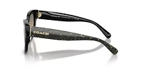 HC8379U CL920 Sunglasses