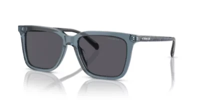 HC8385U CL910 Sunglasses