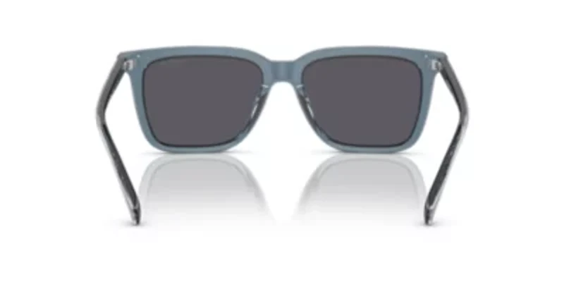 HC8385U CL910 Sunglasses
