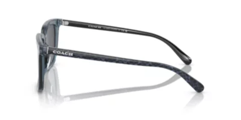 HC8385U CL910 Sunglasses