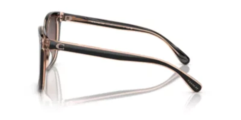 HC8381U CL918 Sunglasses