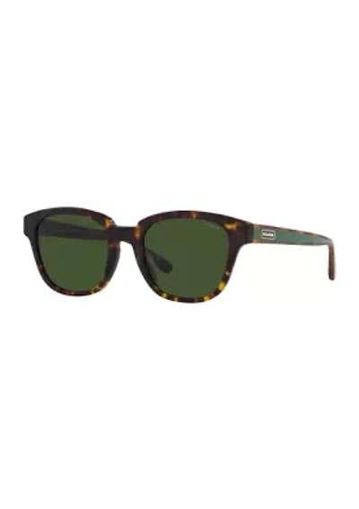 HC8340U C8003 Sunglasses
