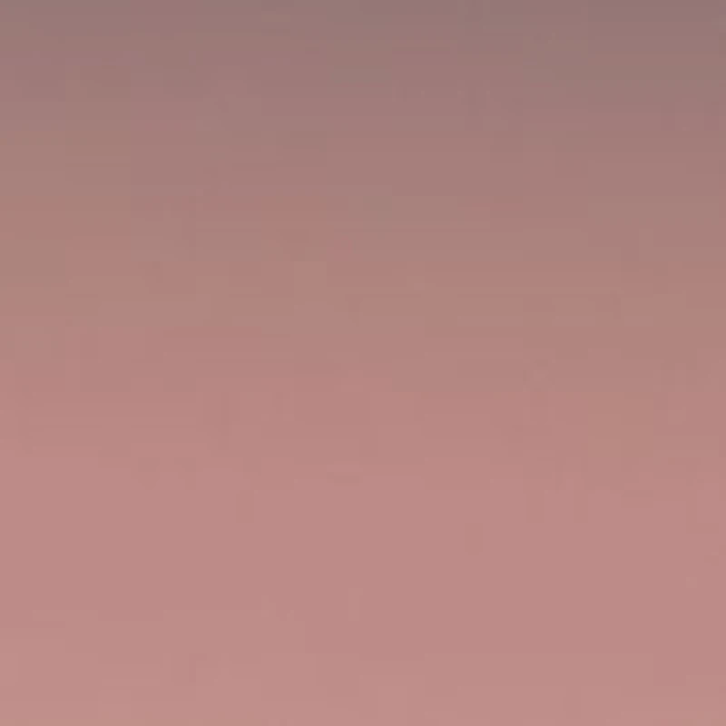 HC7120 L1169 Sunglasses