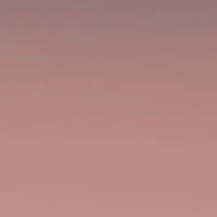 HC7120 L1169 Sunglasses